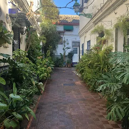 Charming House In Triana,best View From Patio *